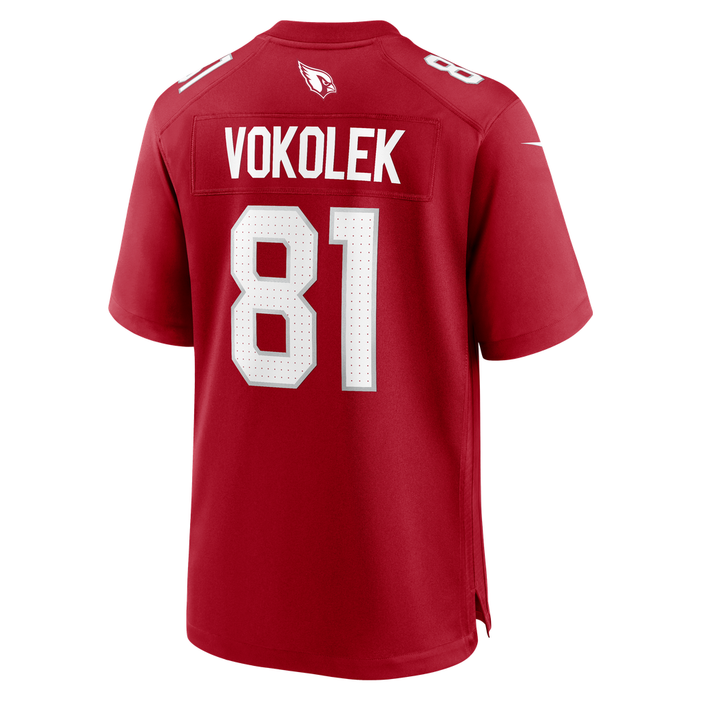 Men's Arizona Cardinals Travis Vokolek Cardinal Team Game Jersey